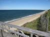 Lookout Bluff, view of Cape Cod Bay
