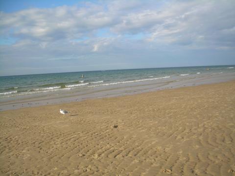 Labor Day at Chapin Beach