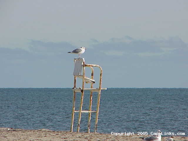 winter lifeguard