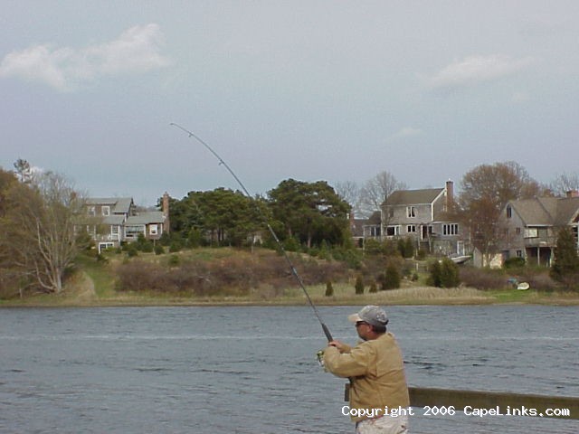 catching a striper