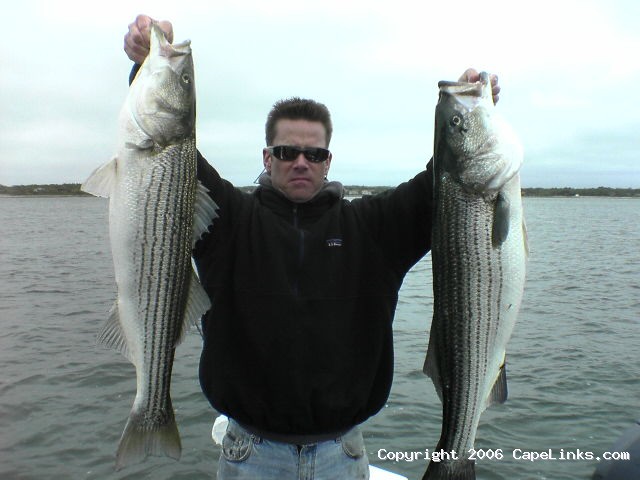 nice pair of stripers