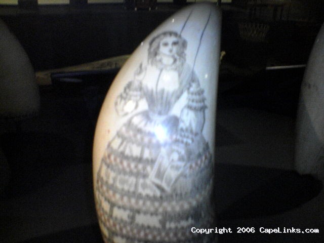 scrimshaw whale tooth