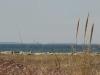 looking west cape cod bay