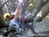 Climbing the Beech tree