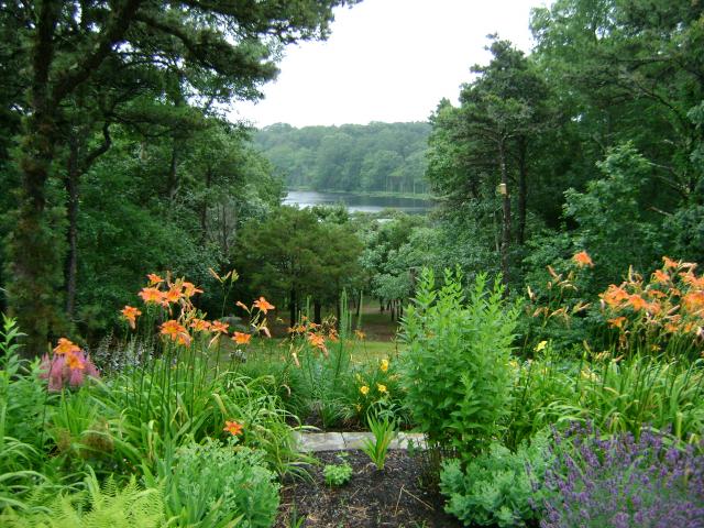 Cedar Pond from our backyard