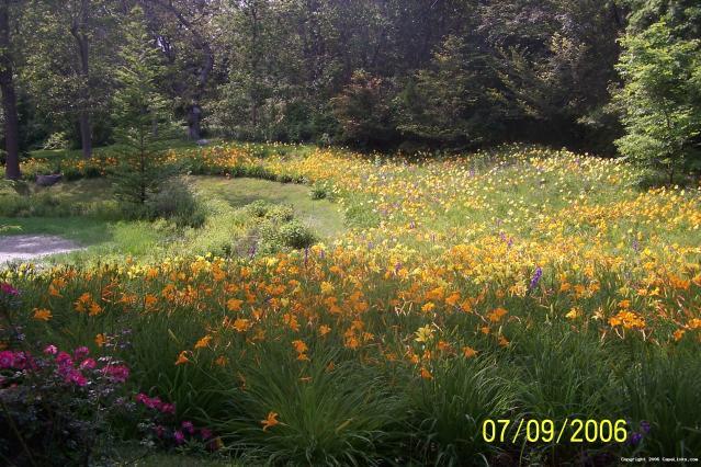 Falmouth garden