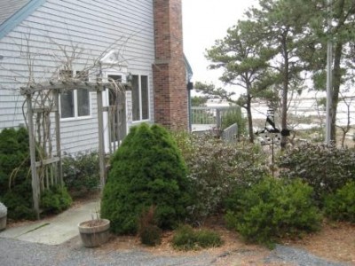 South Chatham 3 bedroom home wtih picturesque ocean views chatham-3-bedroom-home-overlooking-nantucket-sound_taylorspond
