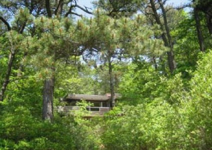 Modern Home with Private Pond Access modern-home-with-private-pond-access_CapeModern