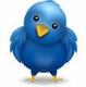 CapeLinks on Twitter