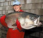 50 pound striper