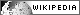 cape cod wiki